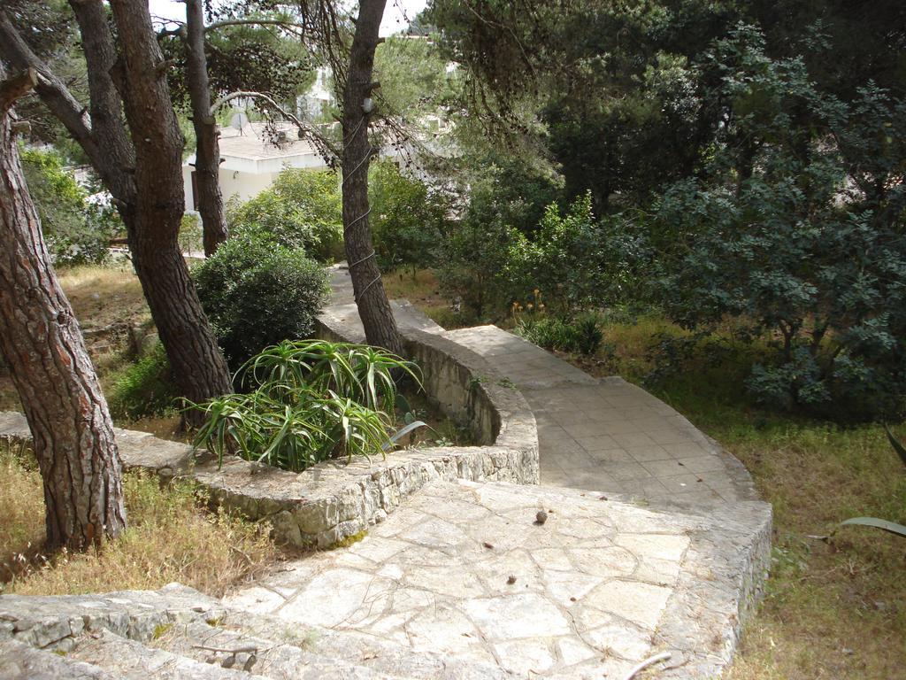 Trullo In The Wood Villa Nardò Exteriör bild
